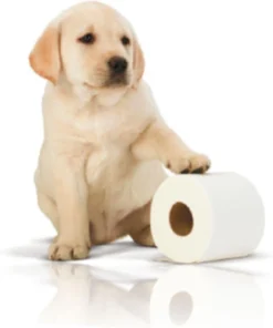 Page Toiletpapier - 32 Rollen - Kussenzacht Wc Papier (3-laags) - Voordeelverpakking -Beste Woninginrichting Winkel 1001x1200 1