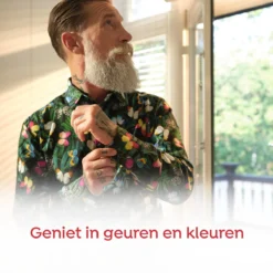 Robijn Pink Sensation Dry Wash Spray - 2 X 200 Ml - Voordeelverpakking 12 Robijn Pink Sensation Dry Wash Spray - 2 X 200 Ml - Voordeelverpakking -Beste Woninginrichting Winkel 1200x1200 186