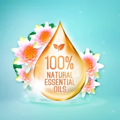 Frisse Reus Lotus Amandel Gel Wasmiddel - Vloeibaar - 80 Wasbeurten - Voordeelverpakking -Beste Woninginrichting Winkel 1200x1200 68