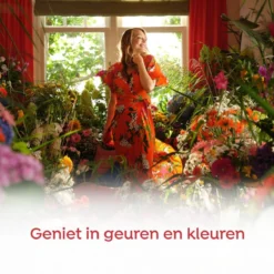 Robijn Klein & Krachtig Rosé Chique Vloeibaar Wasmiddel - 8 X 19 Wasbeurten - Voordeelverpakking -Beste Woninginrichting Winkel 1200x1200 84