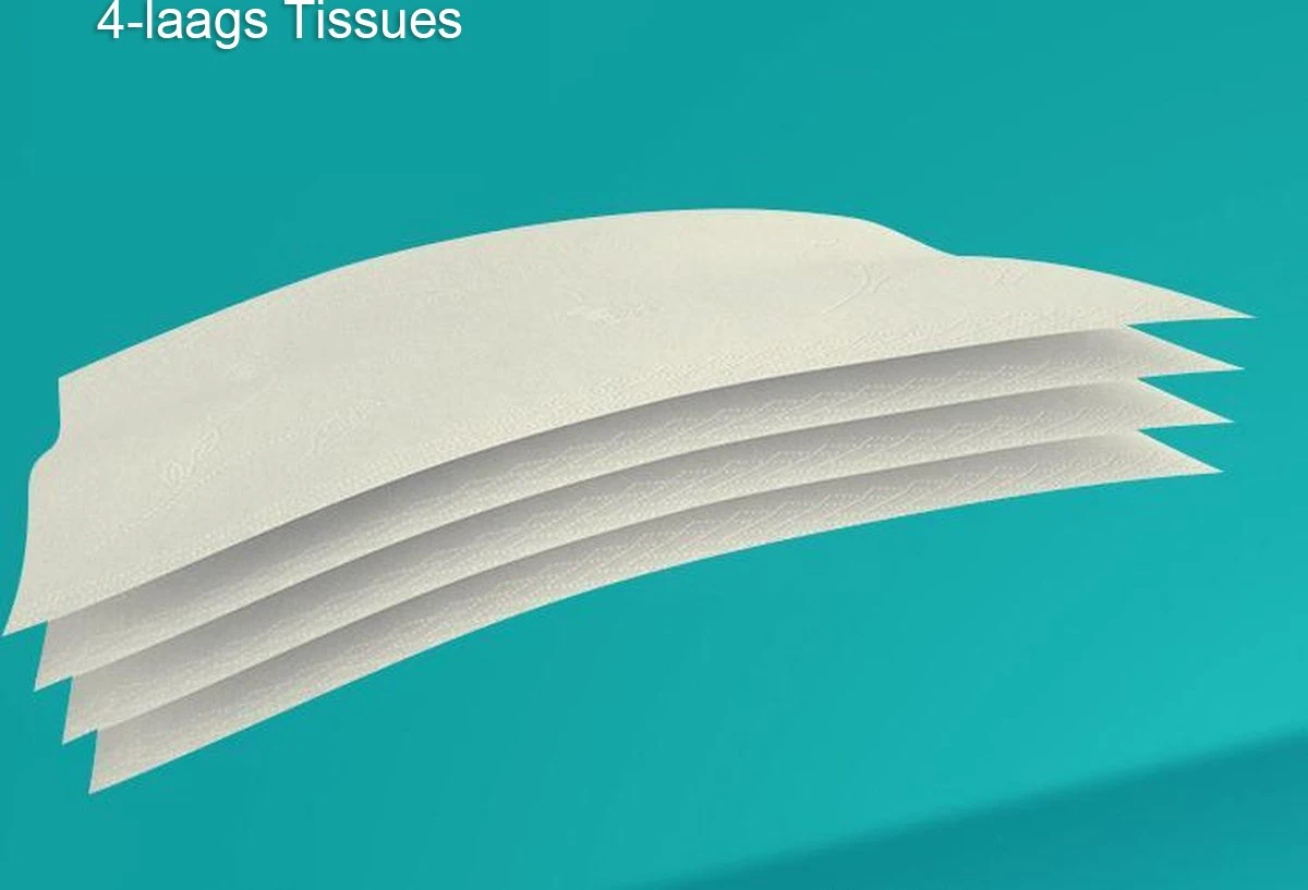 BAMTIME BamboeTissuepapier 4-laags Wc Papier - Wit Color Gebleekt 27 (3*9) Rollen 3 BAMTIME BamboeTissuepapier 4-laags Wc Papier - Wit Color Gebleekt 27 (3*9) Rollen - Afbeelding 3